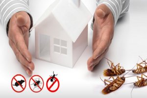 Best Pest ControlCarolina BeachNorth Carolina