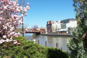 Best Businesses in Fairport New York, United States
