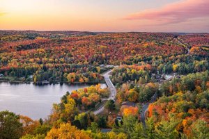 Best Businesses in Muskoka Falls Ontario, Canada