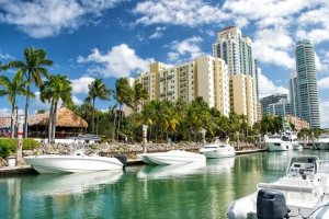 Best Businesses in Miami Florida, United States