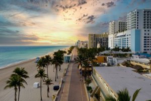 Best Businesses in Hollywood Florida, United States