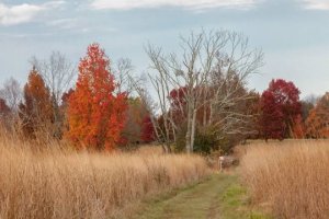 Best Businesses in Blue Bell Pennsylvania, United States