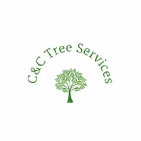 Why You Should Consider Hiring a Tree Trimming Service in Sarasota
