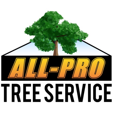 All Pro tree Services at Blogging Fusion