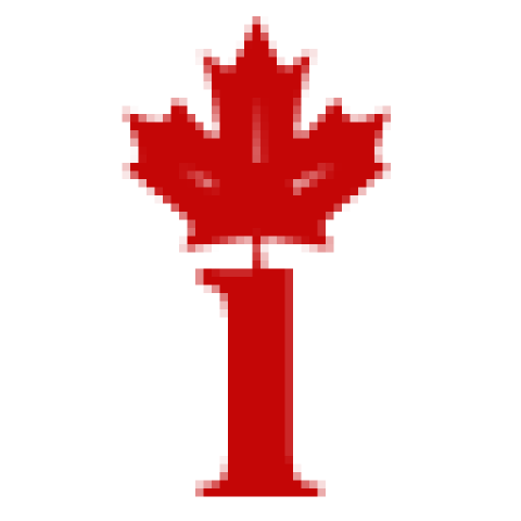 Canadian Immigration and Legal Services Inc.