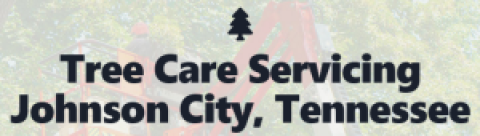 Tree Care Servicing Johnson City, Tennessee