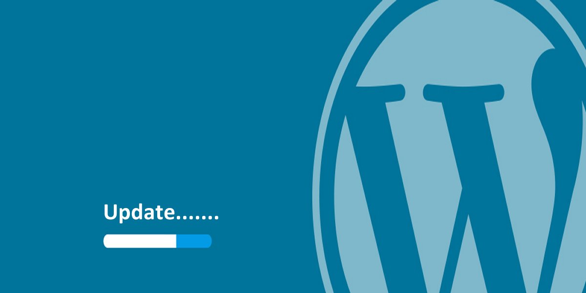 Best ways to Update WordPress Safely