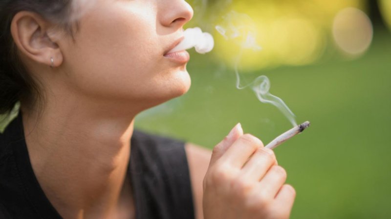 Cannabis and Teens: How Parental Use Influences Adolescent Attitudes