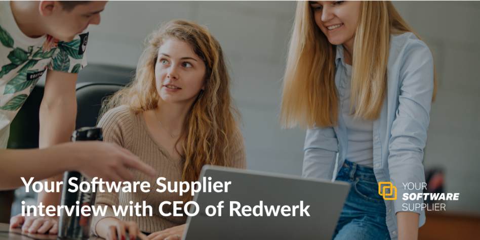 Redwerk Software Development Company
