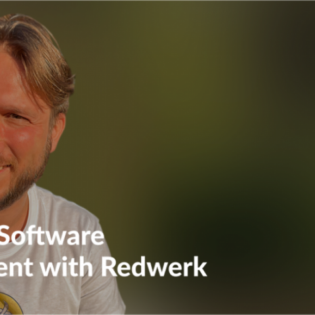 Redwerk Software Development Company