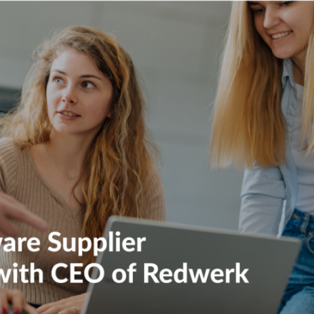 Redwerk Software Development Company