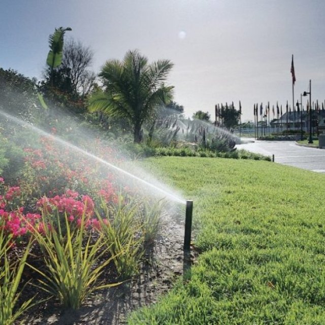 Evergreen Sprinkler and Landscaping Services