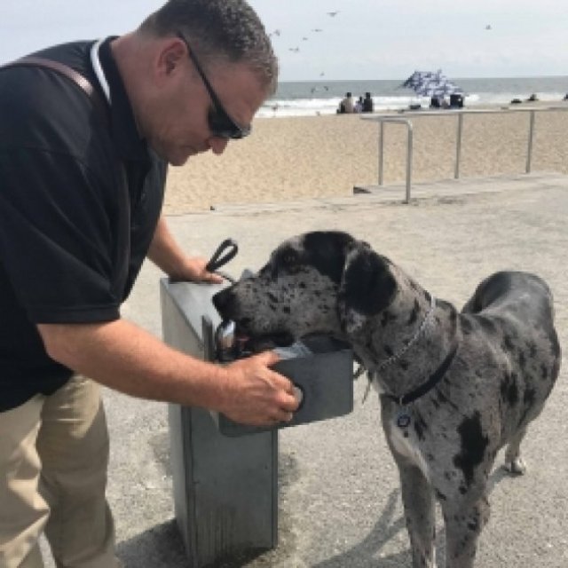 Empire State K-9 Training, LLC