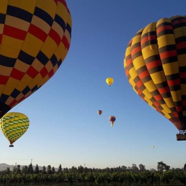Hot Air Balloon Napa Valley | Balloons Above the Valley