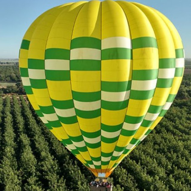 Hot Air Balloon Napa Valley | Balloons Above the Valley