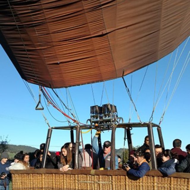 Hot Air Balloon Napa Valley | Balloons Above the Valley