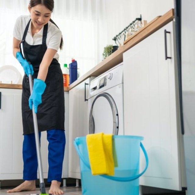 Alba’s professional cleaning services