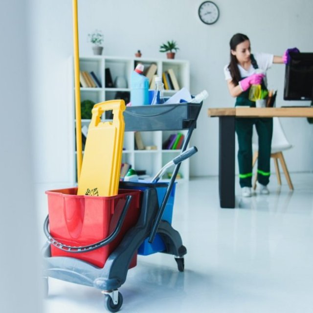 Alba’s professional cleaning services