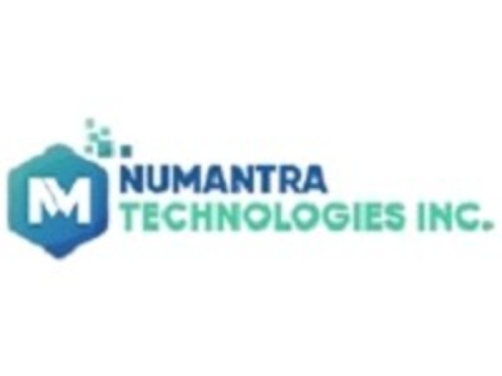 Numantra Technologies Blogging Fusion Profile