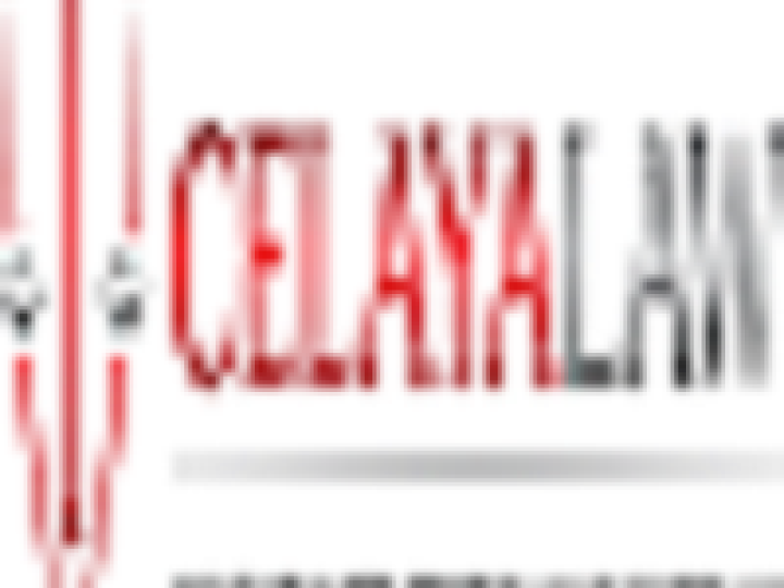 Celaya Law Blogging Fusion Profile