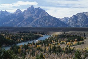 Best Businesses in Wyoming, United States