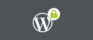 WordPress Security