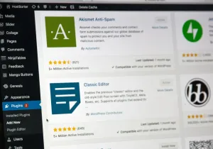 Plugin Security