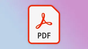 PDF