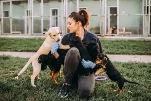 Dog Daycares