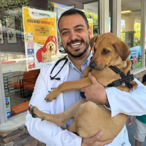 Encino Pet Hospital and Emergency