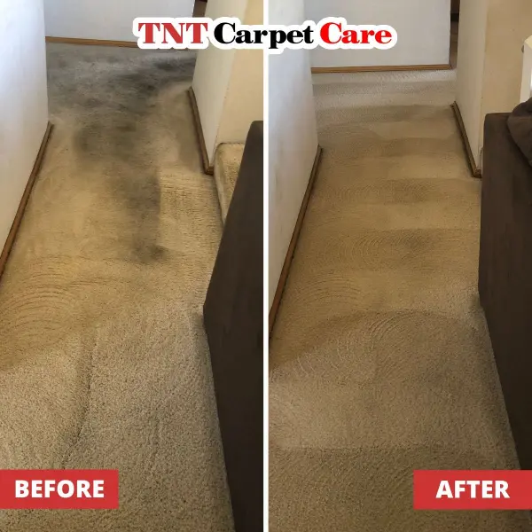 TNT Carpet Care