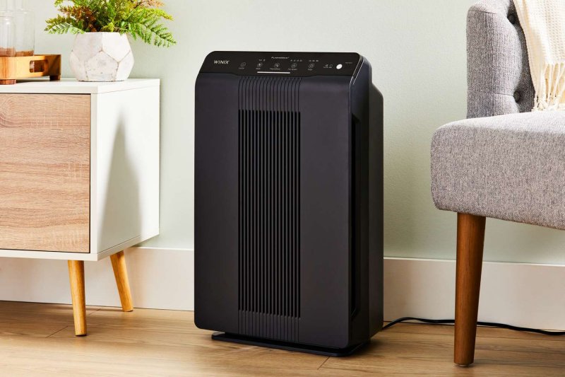 You'll Want an Air Purifier This Cold and Flu Season: A Proactive Approach to Indoor Air Quality