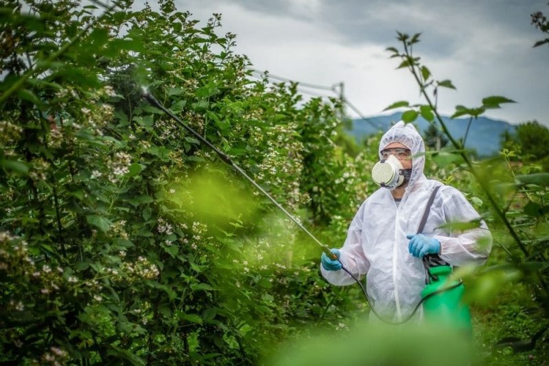 Impact of Chemical Pesticides