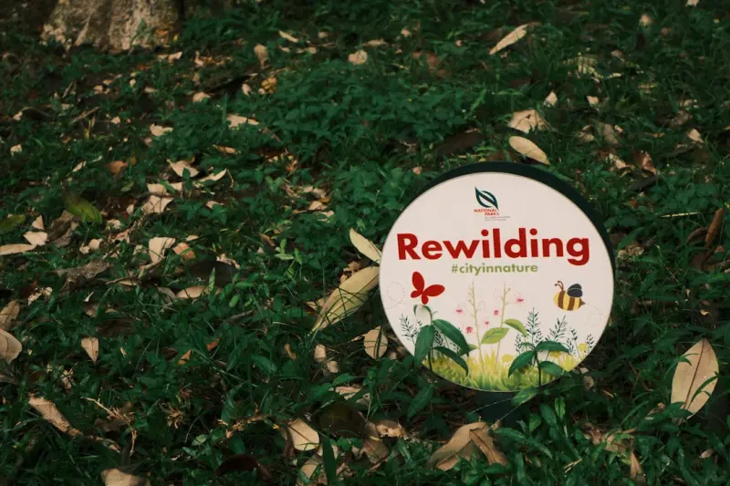 Rewilding Your Routine: Tiny Nature Rituals for Modern Well‑Being