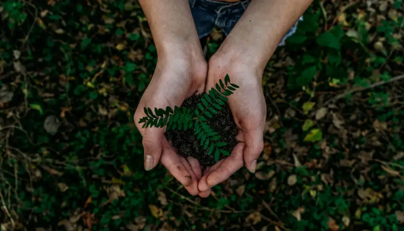 Eco‑Friendly SaaS: Building a Greener Software Stack