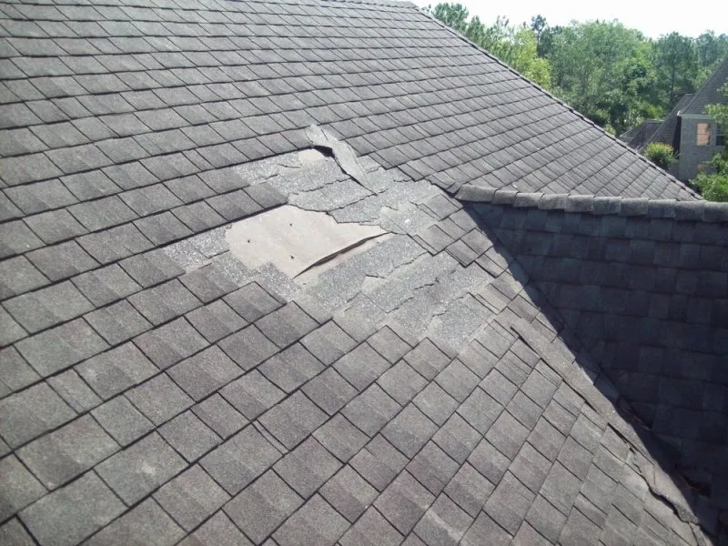 Signs That Your Roof Needs Repair
