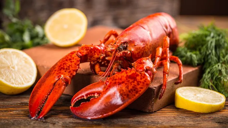The Mystery: Examining the Edibility and Safety of the Green Stuff in Lobster