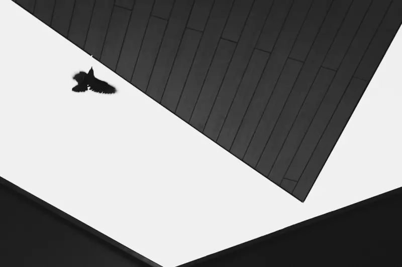 The Hidden Architecture of Shoes: Materials, Digital Twins, and Sustainable Storytelling