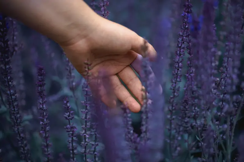 Cultivating a Sensory Sanctuary: Tiny Touches That Transform Everyday Living