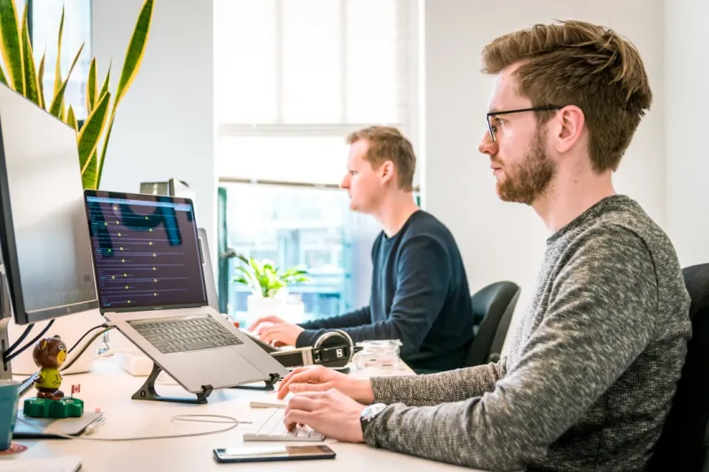 The Software Industry's Shift Towards Sustainable Living