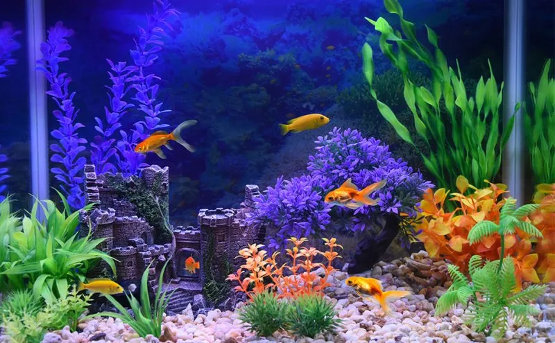 Beena Aquarium Decorations and Fish Food