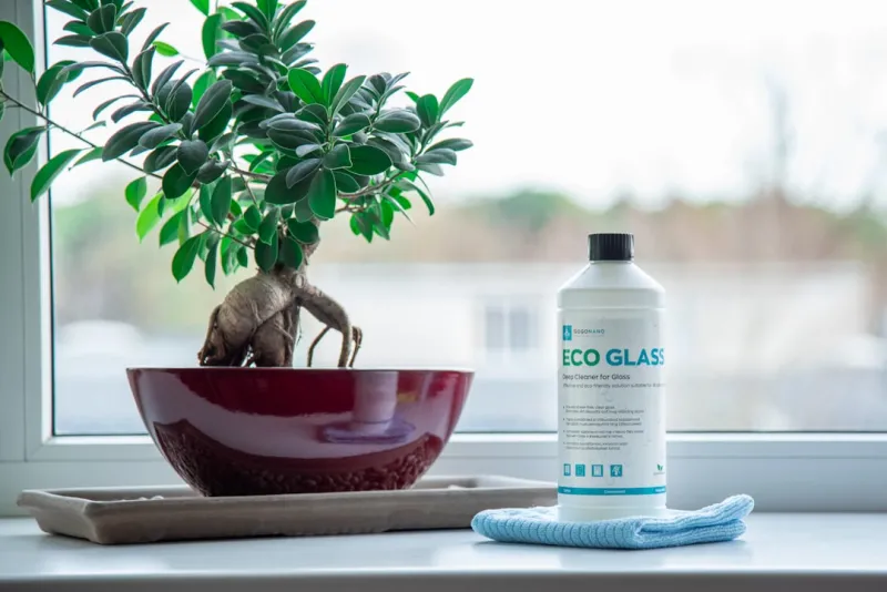 Embracing Eco-Cleaning: A Sustainable Approach to a Healthier Home