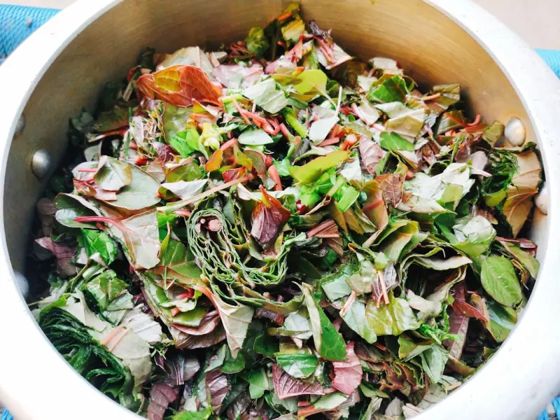Fermentation Fever: Turning Scraps into Liquid Gold