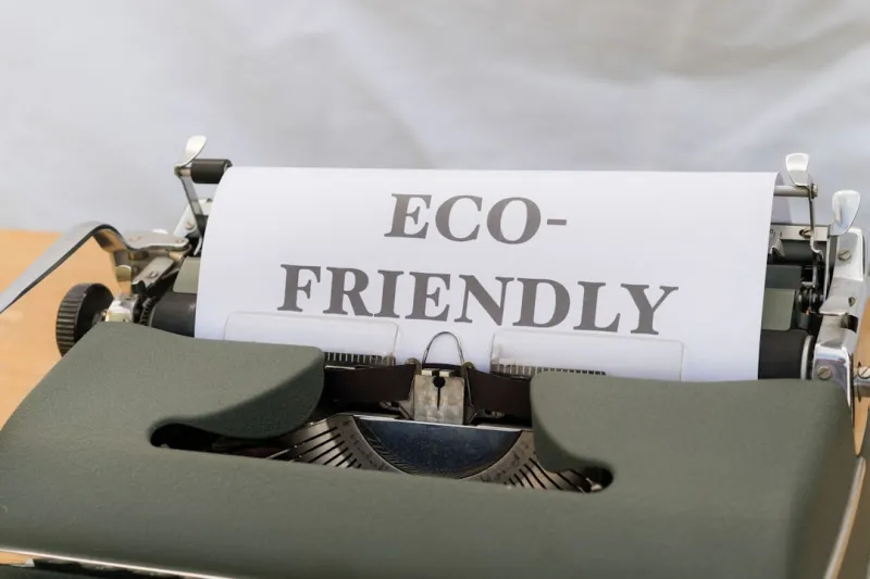From Eco‑Friendly Upgrades to Pet‑Friendly Hacks: My 2024 Home Improvement Journey
