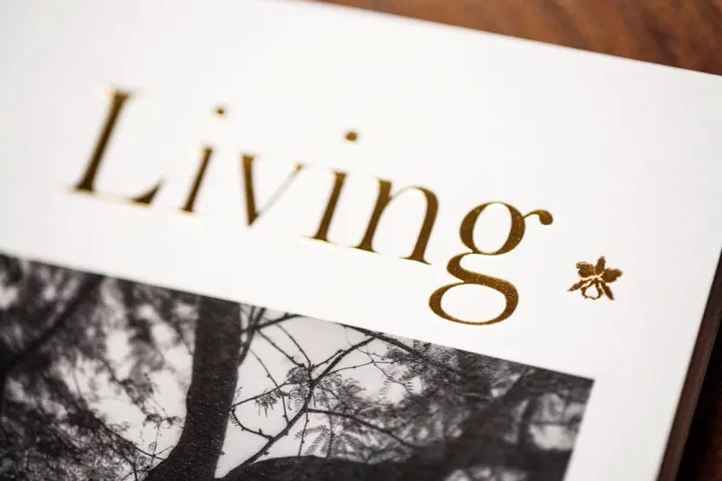 Embracing Slow Living in Modern Web Design