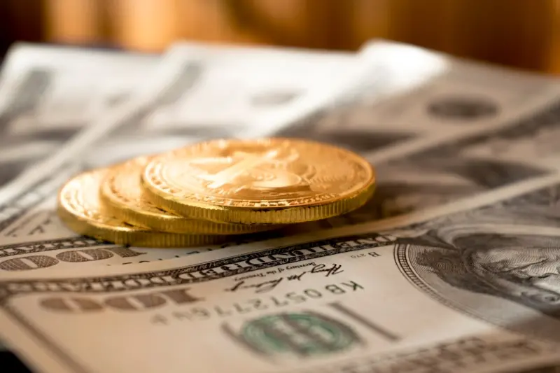 Why Developer Experience Is the New Currency in Software