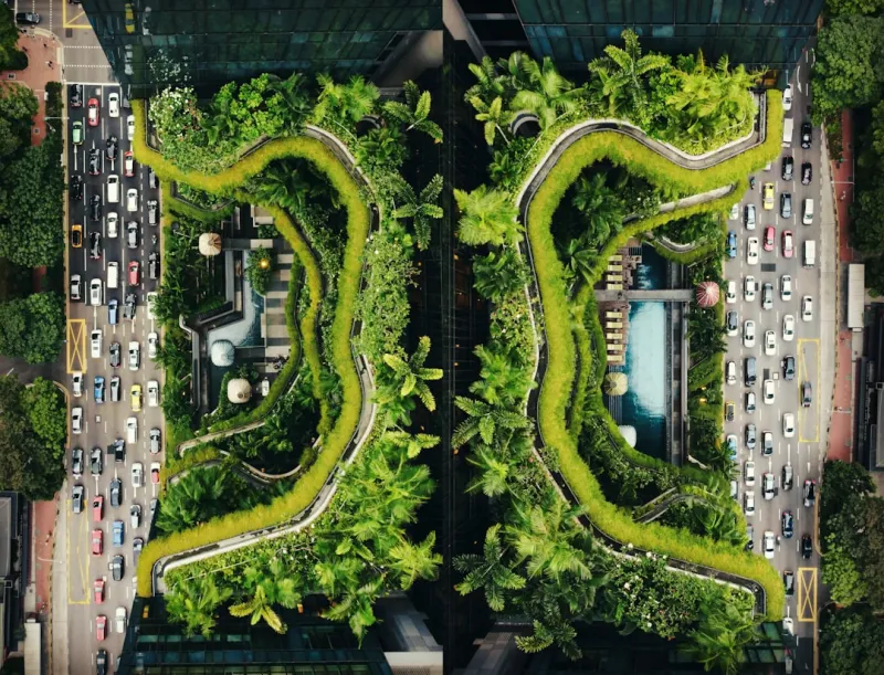 The Intersection of Sustainable Living and Software Development