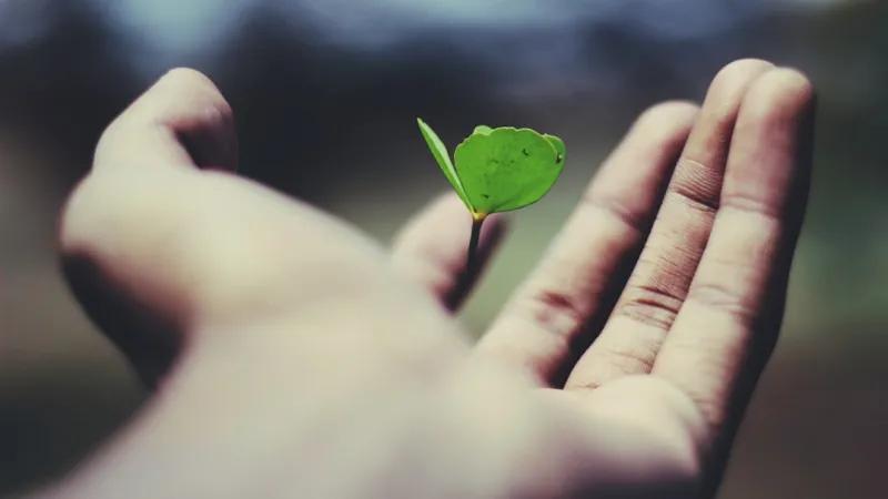 Embracing an Eco-Friendly Life: My Journey Towards a Sustainable Future