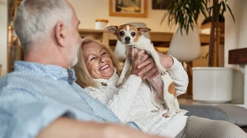 Dogs for Seniors: A Paw-sitive Partnership