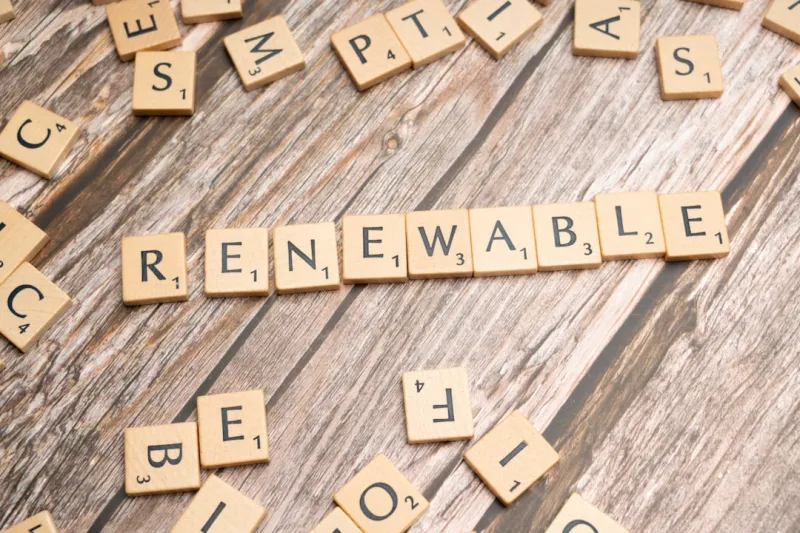 The Future of Business: How Sustainable Living is Revolutionizing the Industry